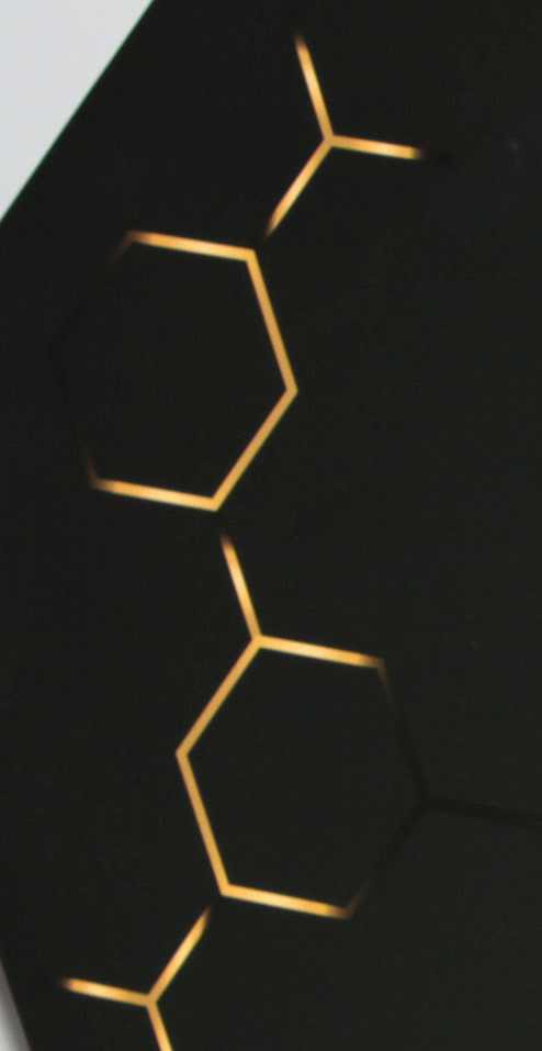 entypo-aem3o-2014_-54